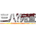 三八雞宛萱 (Stupid Dottie)