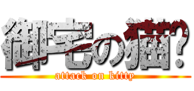 御宅の猫貓 (attack on kitty)