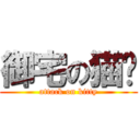 御宅の猫貓 (attack on kitty)