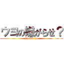 ウヨの嫌がらせ？ (Twitter　he)
