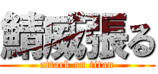 鯖威張る (attack on titan)
