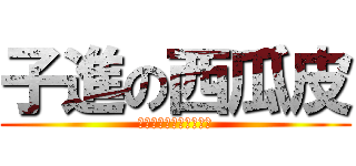 子進の西瓜皮 (遊戲、火柴人小電影實況)