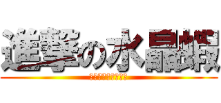 進撃の水晶蝦 (臭皮匠水晶蝦俱樂部)