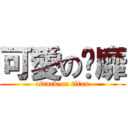 可愛の傻靡 (attack on titan)