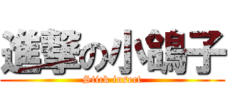 進撃の小鴿子 (Stick insect)