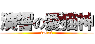 湊響の愛猫神 (bastet)