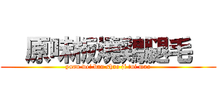   原味板燒鶏腿毛   (yuan wei ban shao ji tui mao)