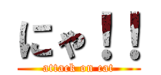 にゃ！！ (attack on cat)