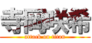 寺岡咲希 (attack on titan)