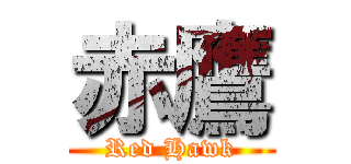 赤鷹 (Red Hawk)