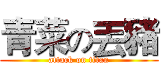 青菜の丟豬 (attack on titan)
