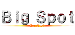 Ｂｉｇ Ｓｐｏｔ (Big Spot)