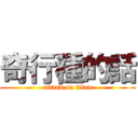 奇行種的話 (attack on titan)