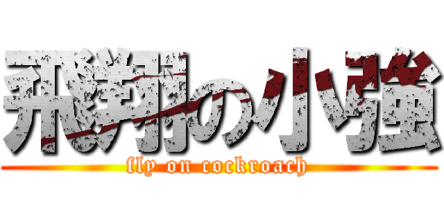 飛翔の小強 (fly on cockroach)