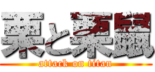 栗と栗鼠 (attack on titan)