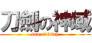 刀劍の神域 (son of bitch)