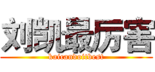 刘凯最厉害 (kaicandoitbest)