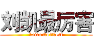 刘凯最厉害 (kaicandoitbest)