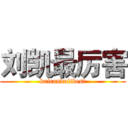 刘凯最厉害 (kaicandoitbest)