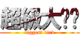 超級大雞雞 (biggest bird)