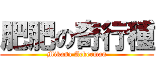 肥肥の奇行種 (Mikasa Ackerman)