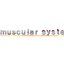 ｍｕｓｃｕｌａｒ ｓｙｓｔｅｍ (How It Works Together with Other Systems)