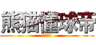 熊猫懂球帝 (天下第一)
