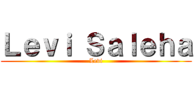 Ｌｅｖｉ Ｓａｌｅｈａ (Levi)