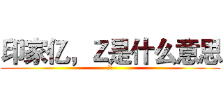 印家亿，Ｚ是什么意思 (快说)