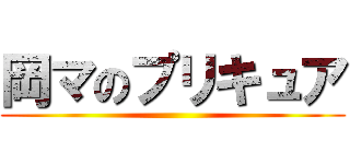 岡マのプリキュア ()