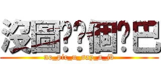 沒圖你說個雞巴 (no_pic_u_say_a_jb)