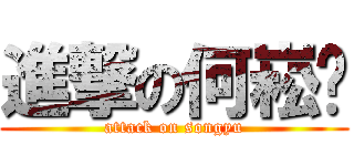 進撃の何崧瑀 (attack on songyu)