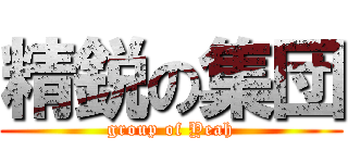 精鋭の集団 (group of Yeah)
