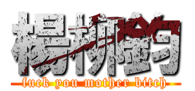 楊柳鈞 (fuck you mother bitch)