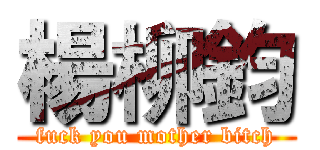 楊柳鈞 (fuck you mother bitch)