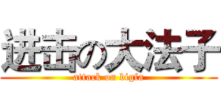进击の大法子 (attack on bigfa)