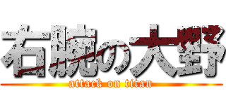 右腕の大野 (attack on titan)