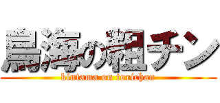 鳥海の粗チン (kintama on torichan)