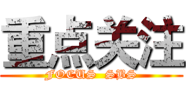 重点关注 (FOCUS  SBS)