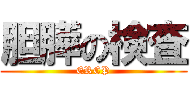 胆膵の検査 (ERCP)