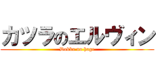 カツラのエルヴィン (Dokka no hage)