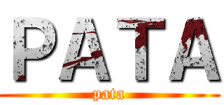 ＰＡＴＡ (pata)