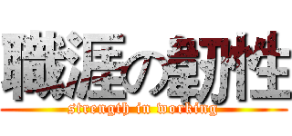 職涯の韌性 (strength in working)