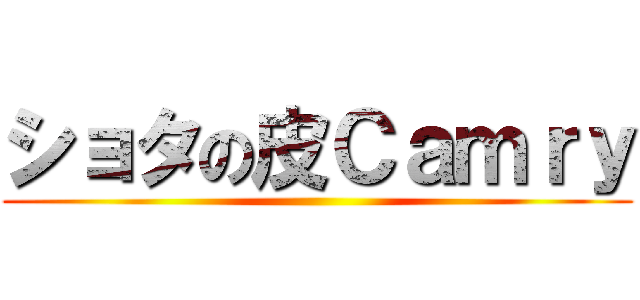 ショタの皮Ｃａｍｒｙ ()