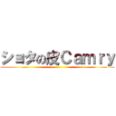 ショタの皮Ｃａｍｒｙ ()