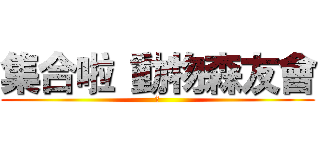 集合啦 動物森友會 (㍼)