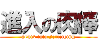 進入の肉棒 (penis into something)