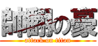 帥翻の豪 (attack on titan)