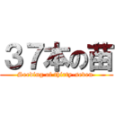 ３７本の苗 (Seeding of thirty-seven )