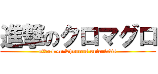 進撃のクロマグロ (attack on Thunnus orientalis)